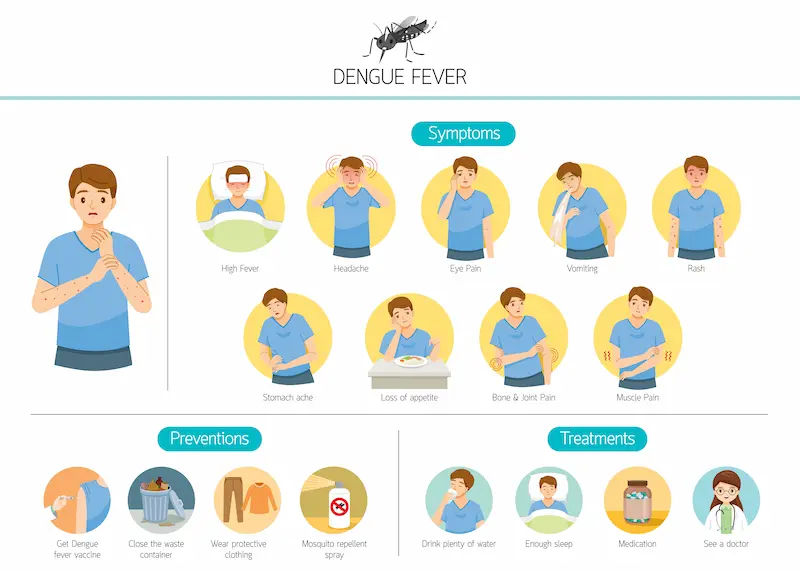 Ultimate Diet Guide for Dengue Fever Recovery